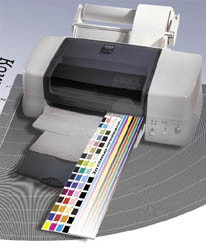Epson Stylus Photo 870