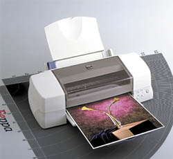 Epson Stylus Photo 1270