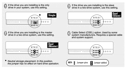 Western Digital Caviar WD1000BB